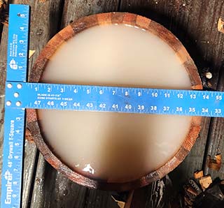 Tapered Stave Bucket
