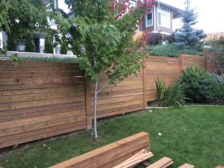 Fence