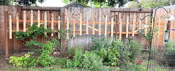 Arched Picket Trellis
