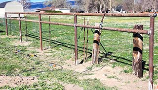 Horse hitching post